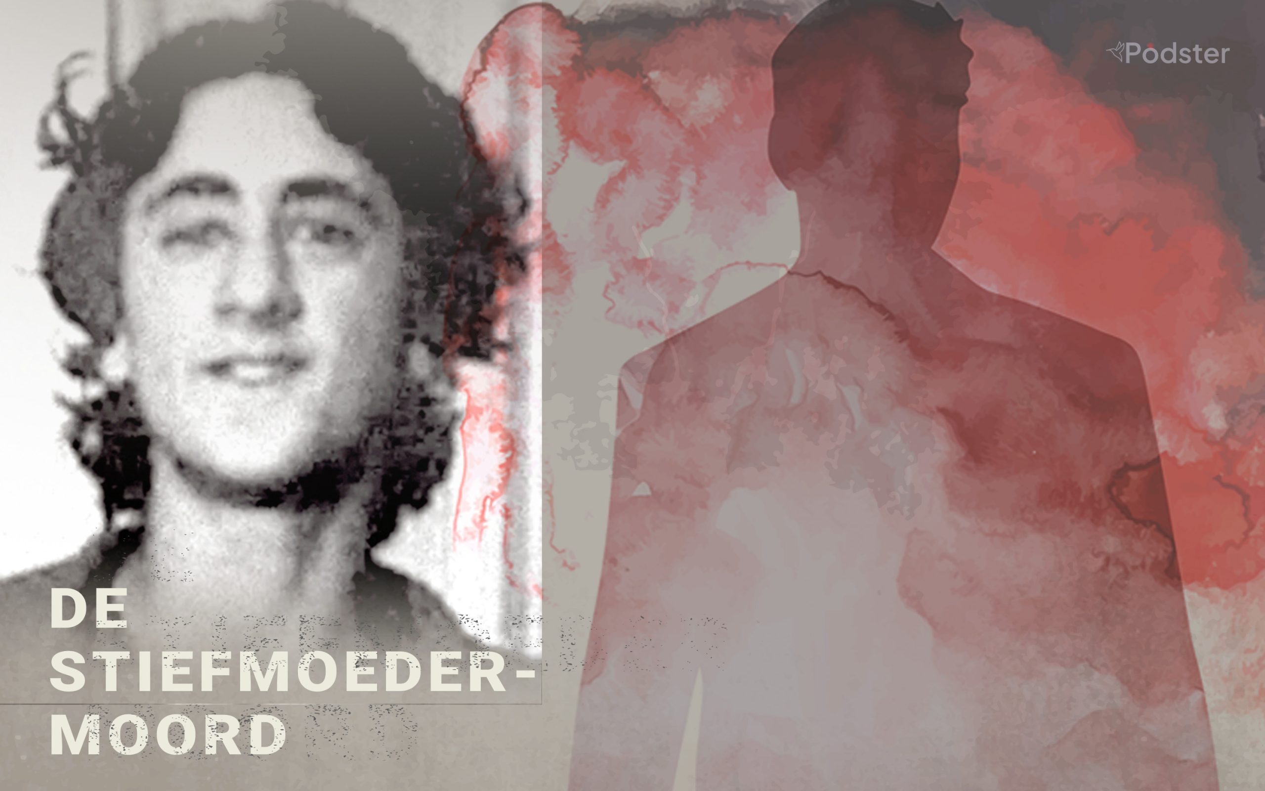 De Stiefmoedermoord podcast